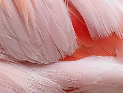 Flamingo At Dawn: A Healing Journey For Sensitive Souls