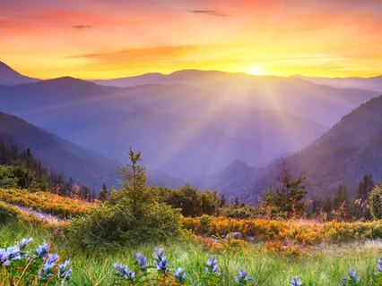 Flashback And Intrusive Memory Protocol