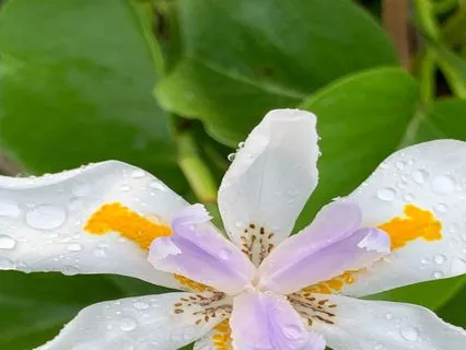 Flashes Of Cosmic Light