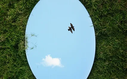 Flat Mirror, Flat Body