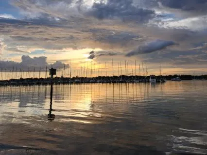 Flexible Resilience And Being Strong Without Being Stubborn