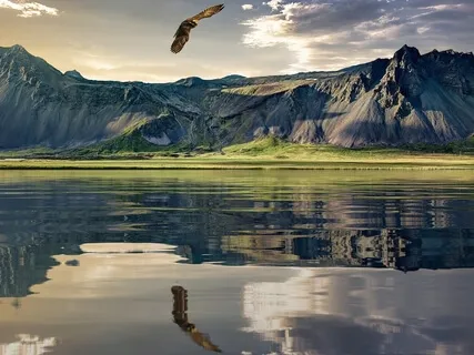 Flight: A Guided Visualization For Awareness & Illumination