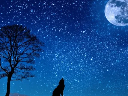 Float Into Blissful Sleep