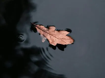 Floating: Ambient Sleep & Relaxation Soundscape