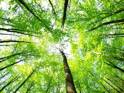 Floating And Stress Relief Music