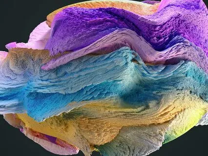 Floating Around the World