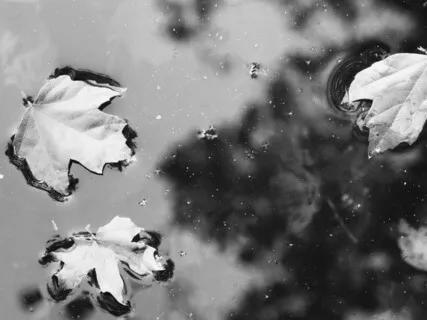 Floating: Asger Suhr