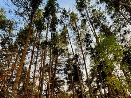 Floating Away From Stress