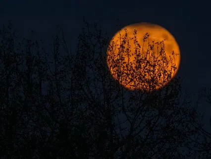 Floating Camp Beneath The Harvest Moon