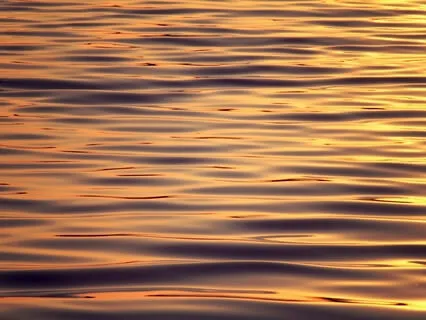 Floating Down A Lazy River Sleep Story