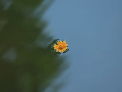 Floating Down Stream And Drift Off To Sleep