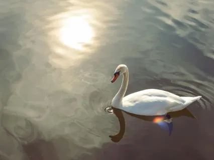 Floating | Drift Away In Meditation | 60 Minutes