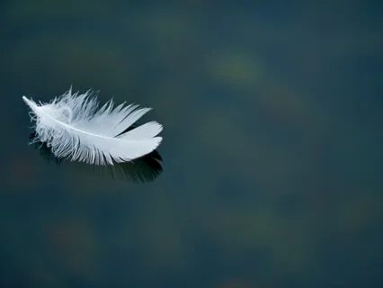 Floating Feather Meditation
