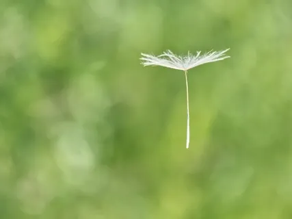 Floating Freely - Lying Down Practice (Yoga Nidra)