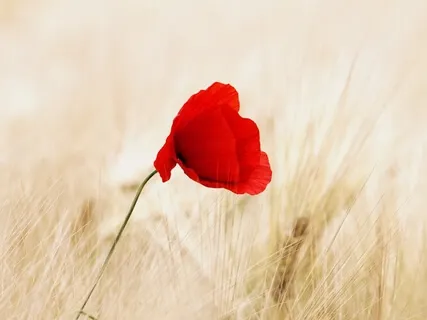 Floating In Bliss: One Of The Most Relaxing Tracks In The World