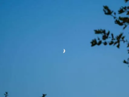 Floating In Blue
