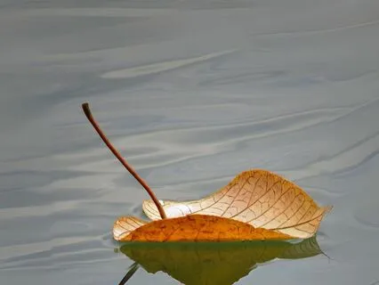 Floating Into Relaxation