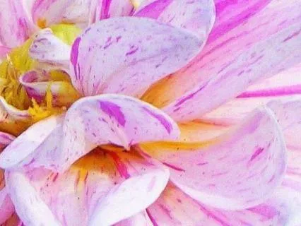 Floating On Your Breath Into Stillness