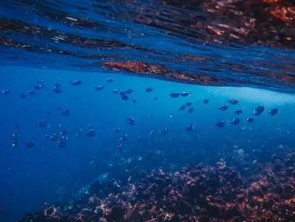 Floating (Overnight)