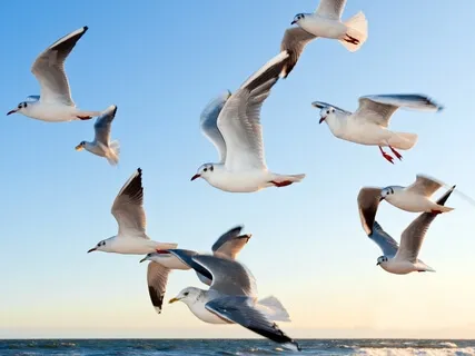 Floating Project #2 --- 2-Hours (Without Nature Sounds)