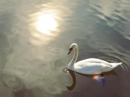 Floating | Drift Away In Meditation | 30 Minutes