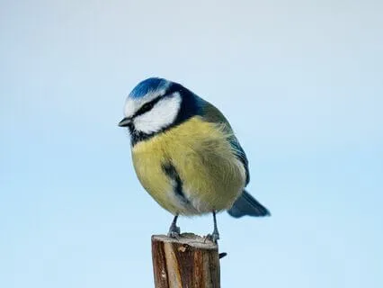 Flotation | Binaural Beats: Delta Brain Waves