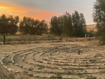 Flow - A Phoenix Rising Yoga Therapy Class