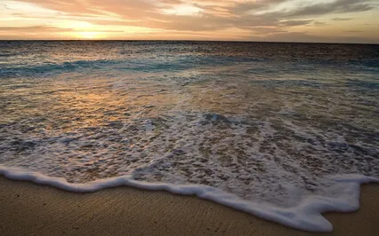 Flow Fest With Humming To Heal Emotions