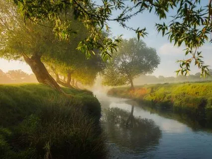 Flow Like Water, Trust Your Path