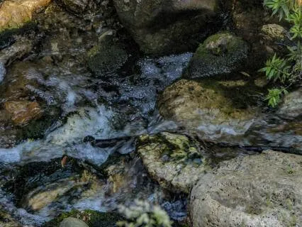 Flow Like Water