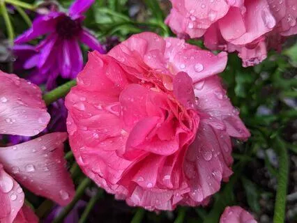 Flow | Mindful Motivation