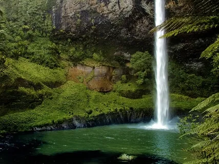 Flow Of Life - Anxiety Relief