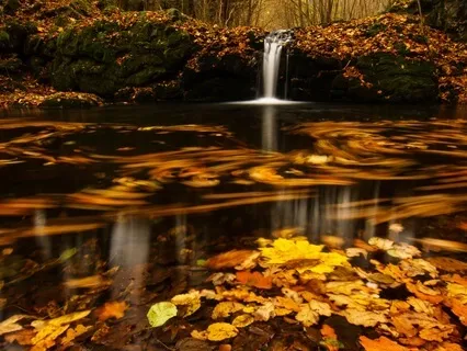 Flow Of The Sacred Waters: A Sacral Chakra Journey