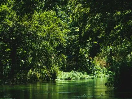 Flow Of Tranquility: A Meditation For Deep Relaxation