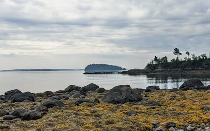 Flow (Poetic Resonance Meditation)