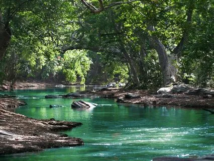 Flow State Activation: Effortless Focus & Creativity