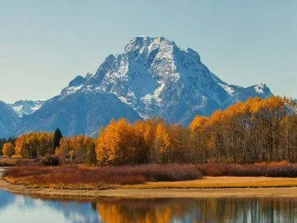 Abundance Flow State