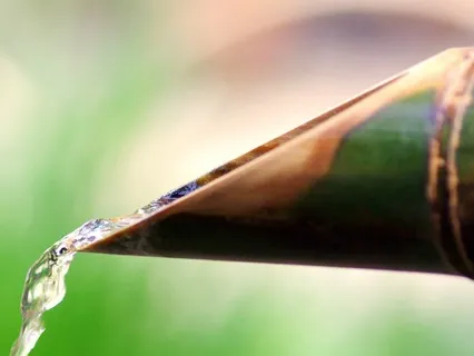 Flow State Meditation