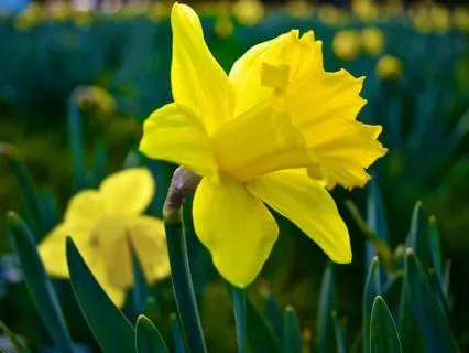 Flow, Stillness And The Ground Beneath - March 22