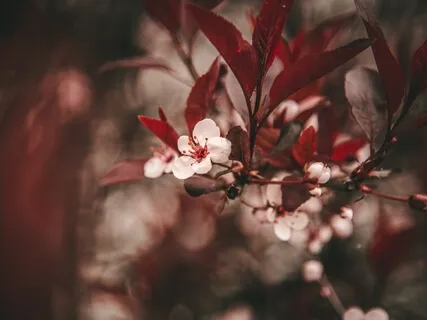 Moments of Stillness Vol 2, Part 1