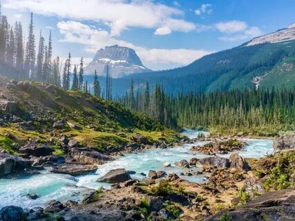 Flow With Certainty - Contemplative Meditation