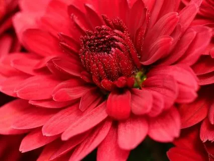 Flow With Ease: A Meditation For Menstrual Comfort