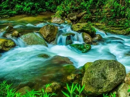 Flow With Grace Talk + Meditation