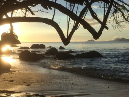 Flow With Impermanence: Letting Go & Renewal