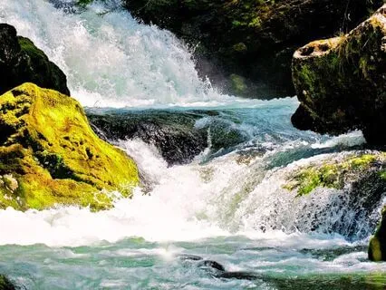 Flow With Life | Meditation With Affirmation On Willingness