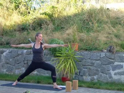 Flow Yoga & Yoga Nidra