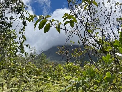 Flower Blossom Hike In Costa Rica