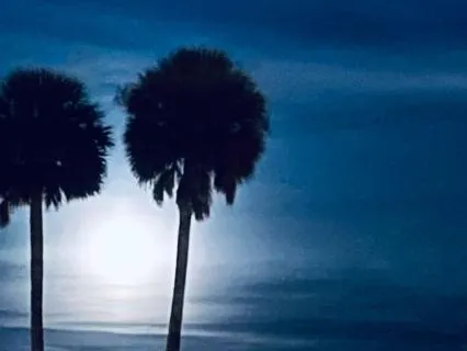 Flower Full Moon Body Relaxation