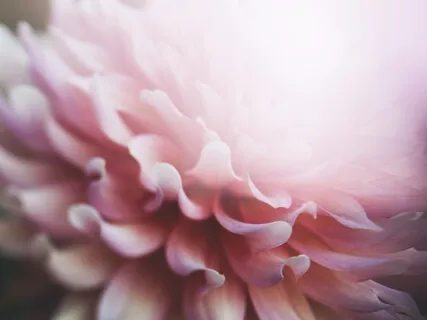 Flower Hand 2 (The Longer Version)