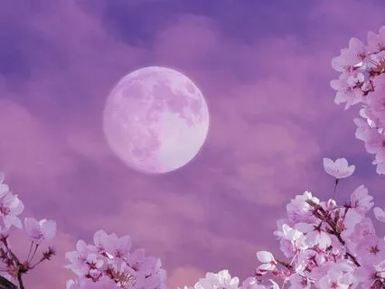 Flower Moon ~ Peaceful Sleep Music & Healing Piano